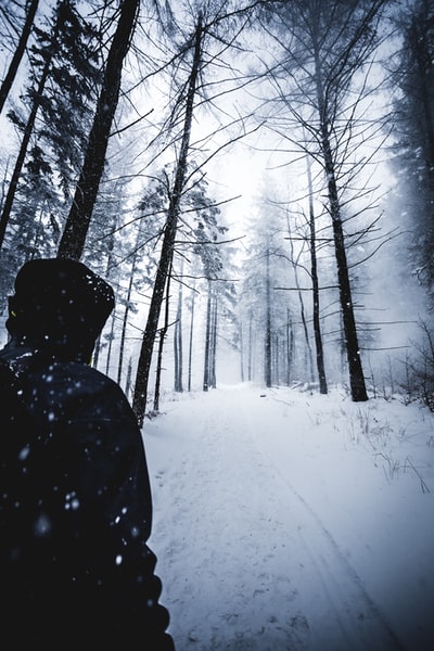 人走在雪地
